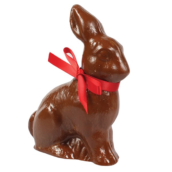 chokoladeform kanin